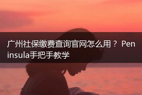 广州社保缴费查询官网怎么用？ Peninsula手把手教学