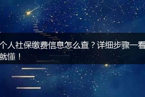 个人社保缴费信息怎么查？详细步骤一看就懂！