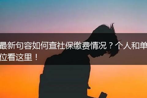最新句容如何查社保缴费情况？个人和单位看这里！