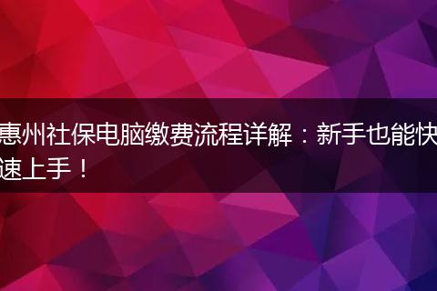 惠州社保电脑缴费流程详解：新手也能快速上手！