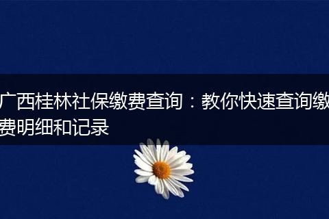 广西桂林社保缴费查询：教你快速查询缴费明细和记录