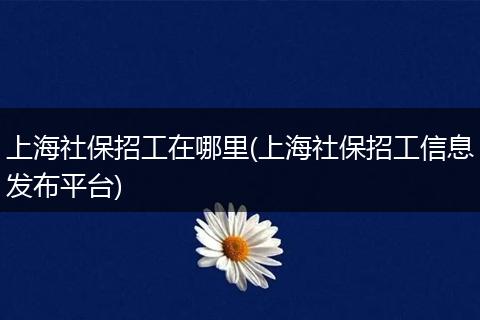 上海社保招工在哪里(上海社保招工信息发布平台)