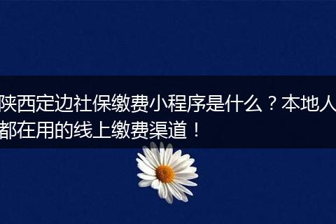 陕西定边社保缴费小程序是什么？本地人都在用的线上缴费渠道！