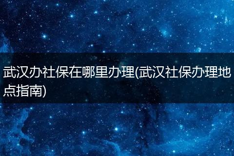 武汉办社保在哪里办理(武汉社保办理地点指南)