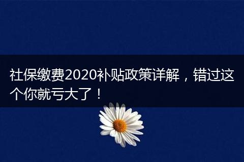 社保缴费2020补贴政策详解，错过这个你就亏大了！