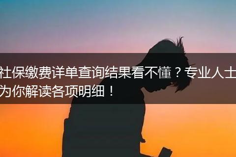 社保缴费详单查询结果看不懂？专业人士为你解读各项明细！