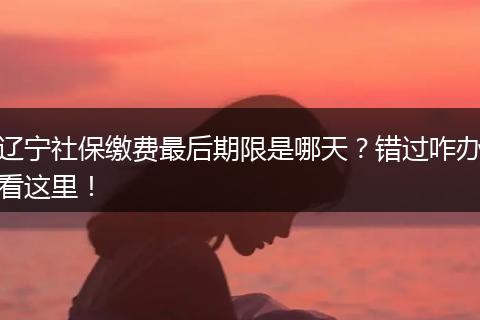 辽宁社保缴费最后期限是哪天？错过咋办看这里！