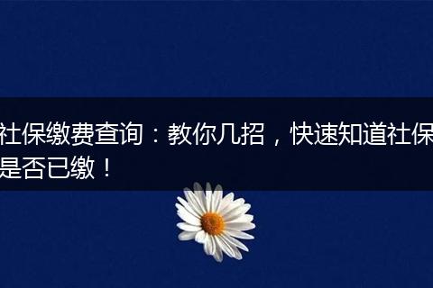 社保缴费查询：教你几招，快速知道社保是否已缴！