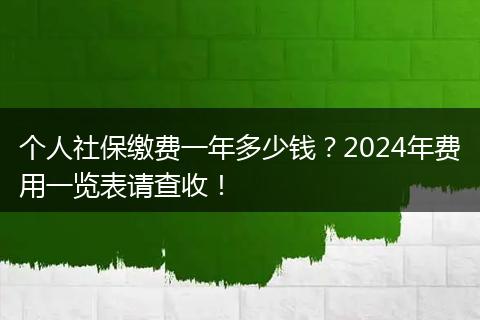 个人社保缴费一年多少钱？2024年费用一览表请查收！