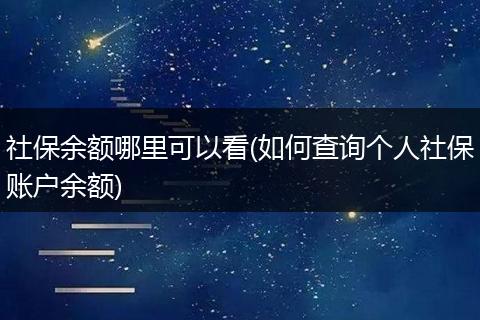 社保余额哪里可以看(如何查询个人社保账户余额)