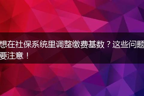想在社保系统里调整缴费基数？这些问题要注意！