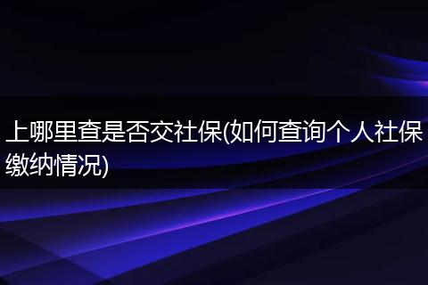 上哪里查是否交社保(如何查询个人社保缴纳情况)