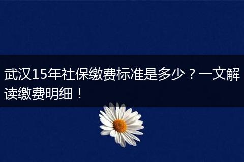 武汉15年社保缴费标准是多少？一文解读缴费明细！