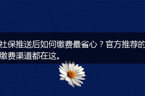 社保推送后如何缴费最省心？官方推荐的缴费渠道都在这。