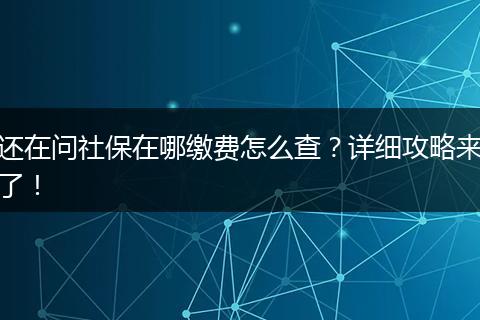 还在问社保在哪缴费怎么查？详细攻略来了！
