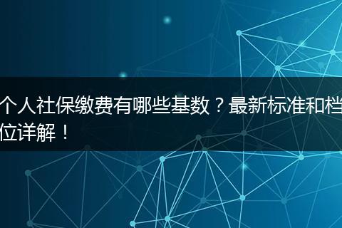 个人社保缴费有哪些基数？最新标准和档位详解！