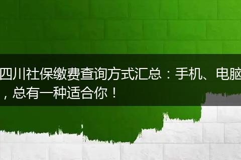 四川社保缴费查询方式汇总：手机、电脑，总有一种适合你！