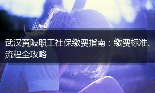 武汉黄陂职工社保缴费指南：缴费标准、流程全攻略