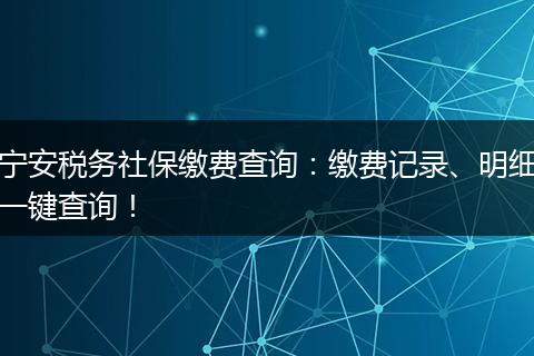 宁安税务社保缴费查询：缴费记录、明细一键查询！