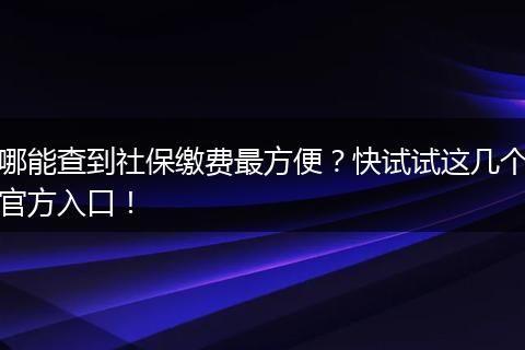 哪能查到社保缴费最方便？快试试这几个官方入口！