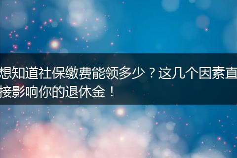 想知道社保缴费能领多少？这几个因素直接影响你的退休金！
