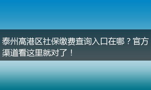 泰州高港区社保缴费查询入口在哪？官方渠道看这里就对了！