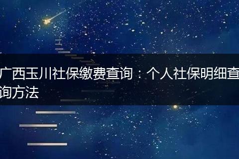 广西玉川社保缴费查询:个人社保明细查询方法