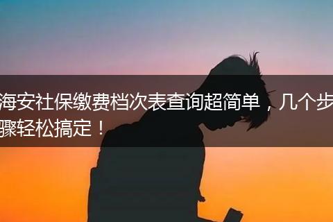 海安社保缴费档次表查询超简单，几个步骤轻松搞定！