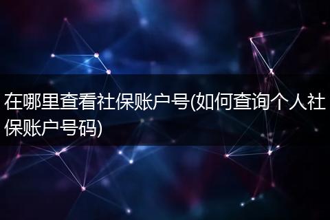 在哪里查看社保账户号(如何查询个人社保账户号码)