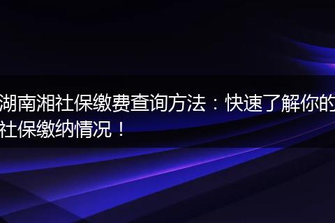 湖南湘社保缴费查询方法：快速了解你的社保缴纳情况！