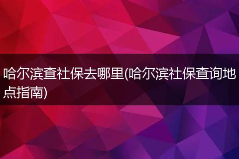 哈尔滨查社保去哪里(哈尔滨社保查询地点指南)