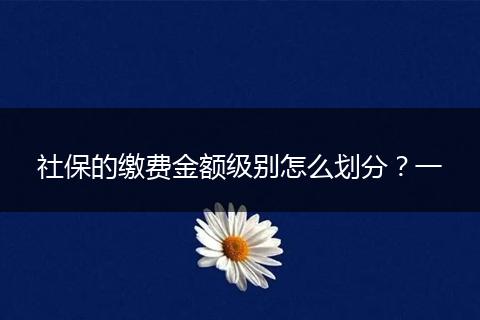 社保的缴费金额级别怎么划分？一