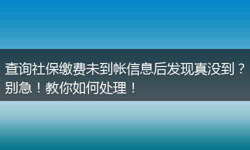 查询社保缴费未到帐信息后发现真没到？别急！教你如何处理！