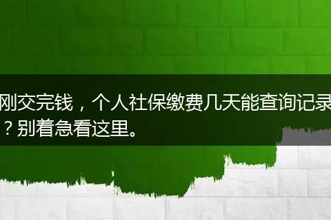 刚交完钱，个人社保缴费几天能查询记录？别着急看这里。