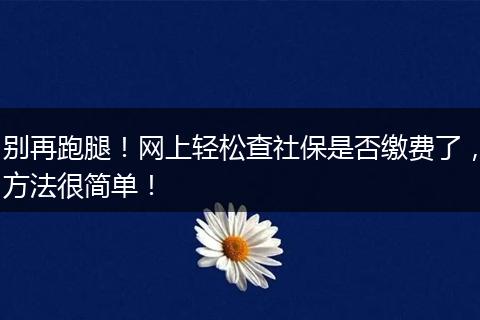 别再跑腿！网上轻松查社保是否缴费了，方法很简单！