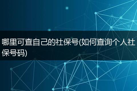 哪里可查自己的社保号(如何查询个人社保号码)