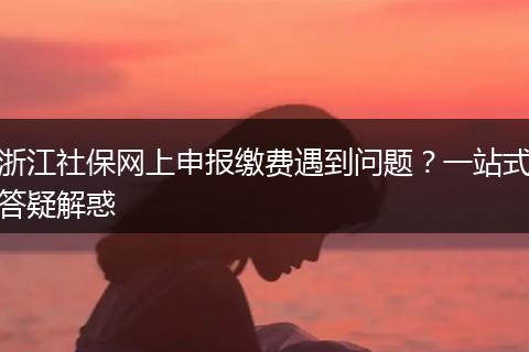 浙江社保网上申报缴费遇到问题？一站式答疑解惑