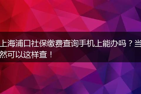 上海浦口社保缴费查询手机上能办吗？当然可以这样查！