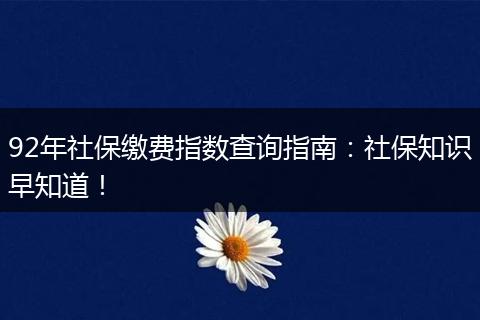 92年社保缴费指数查询指南：社保知识早知道！