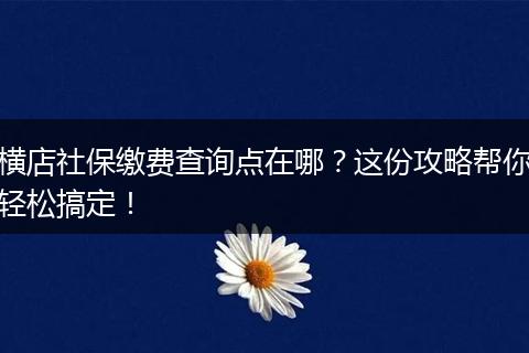 横店社保缴费查询点在哪？这份攻略帮你轻松搞定！