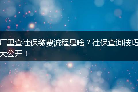 厂里查社保缴费流程是啥？社保查询技巧大公开！