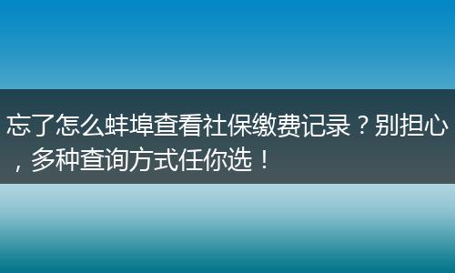 忘了怎么蚌埠查看社保缴费记录？别担心，多种查询方式任你选！