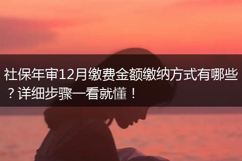 社保年审12月缴费金额缴纳方式有哪些？详细步骤一看就懂！