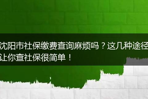 沈阳市社保缴费查询麻烦吗？这几种途径让你查社保很简单！