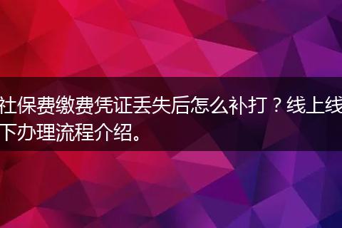 社保费缴费凭证丢失后怎么补打？线上线下办理流程介绍。