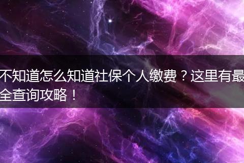 不知道怎么知道社保个人缴费?这里有最全查询攻略!
