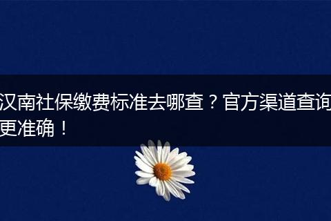 汉南社保缴费标准去哪查？官方渠道查询更准确！