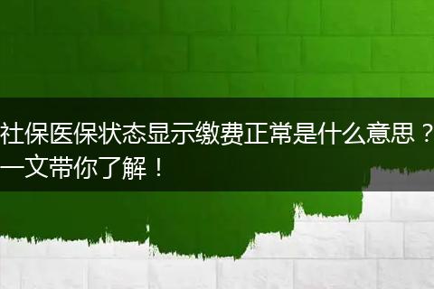 社保医保状态显示缴费正常是什么意思？一文带你了解！