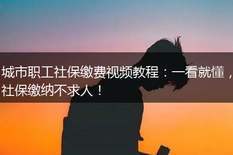 城市职工社保缴费视频教程：一看就懂，社保缴纳不求人！