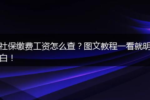 社保缴费工资怎么查？图文教程一看就明白！